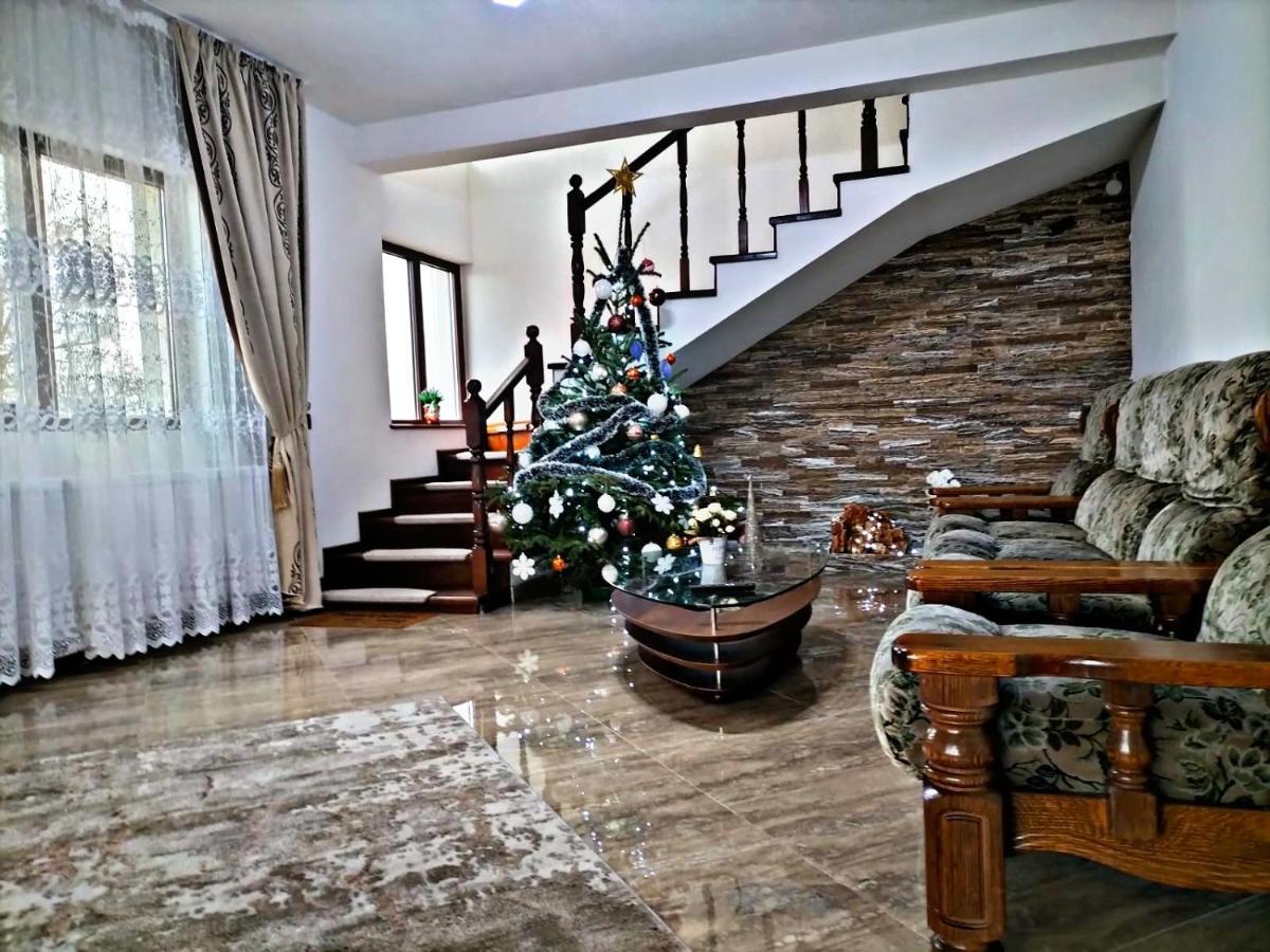 Pensiunea Casa Nusa Baia de Fier Buitenkant foto
