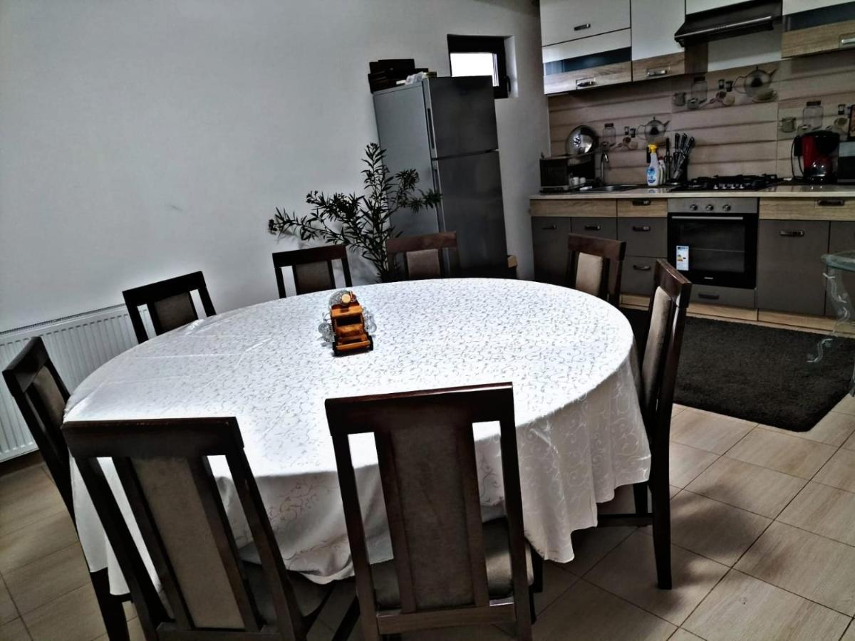 Pensiunea Casa Nusa Baia de Fier Buitenkant foto
