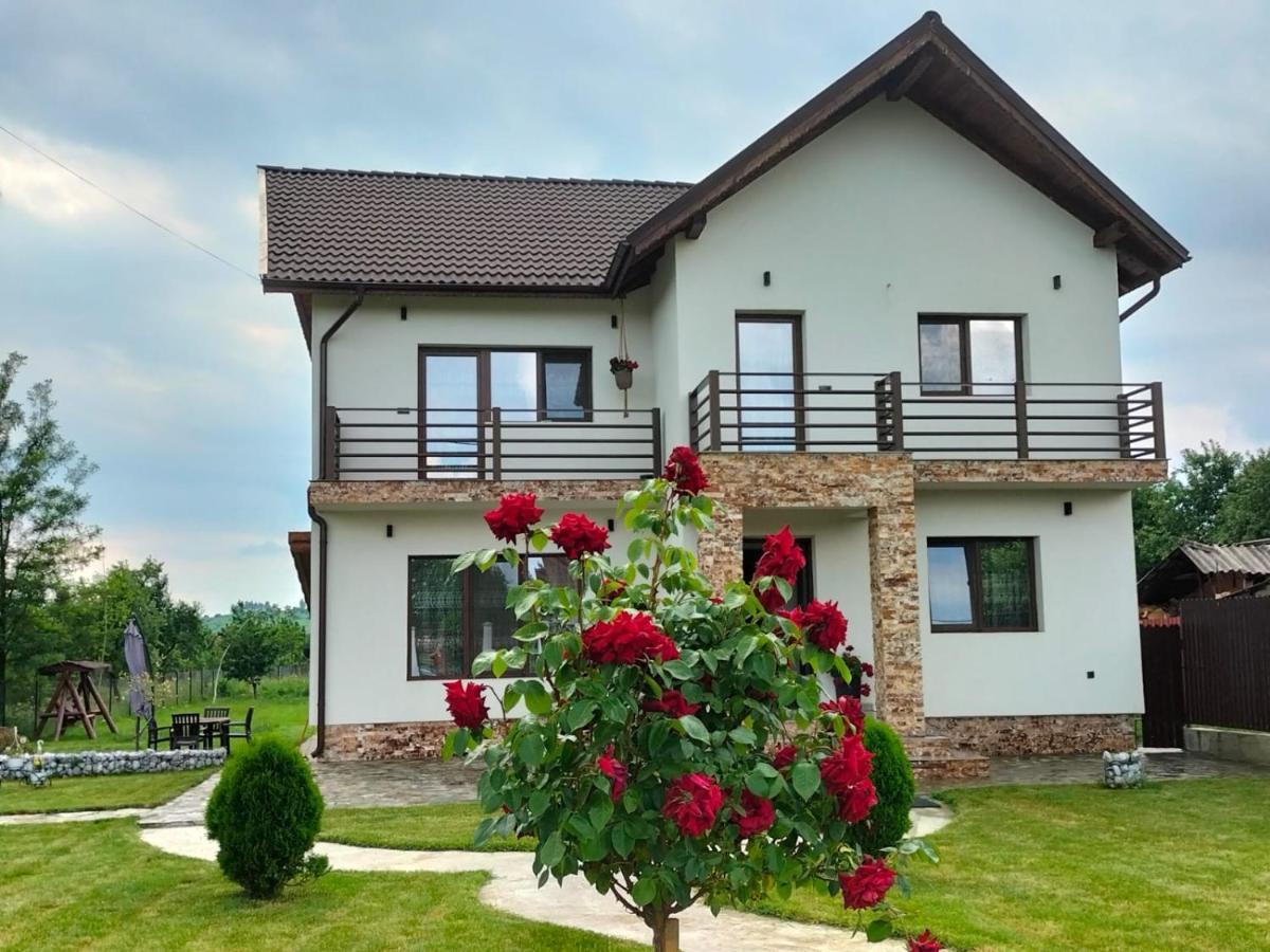 Pensiunea Casa Nusa Baia de Fier Buitenkant foto
